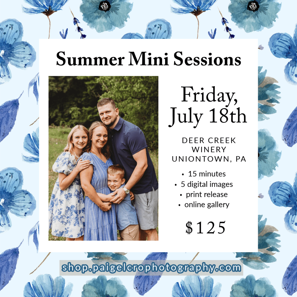 Image of Summer Mini Session - Day 1