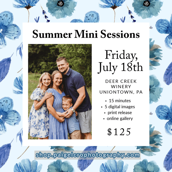 Image of Summer Mini Session - Day 1