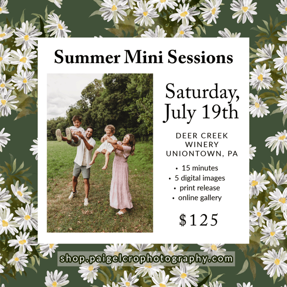 Image of Summer Mini Session - Day 2