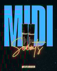Image 1 of the midis