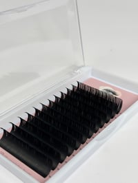 Image 1 of .15 Classic  Lash trays