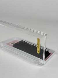 Image 2 of .15 Classic  Lash trays