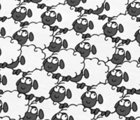 Image 3 of  Sheep - Black and White
