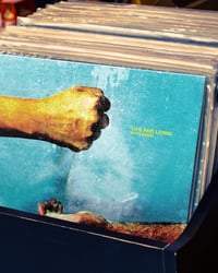 Image 2 of KYLE BREW "LIFE AND LIVING" VINYL LP **PRE-ORDER**
