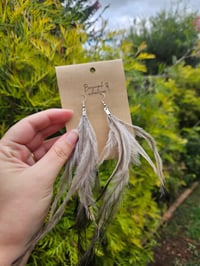 Image 1 of Dhinawan feathers (silver hooks)