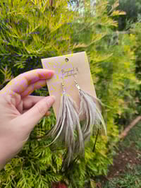 Image 2 of Dhinawan feathers (silver hooks)