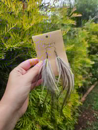 Image 2 of Dhinawan feathers (bronze hooks)