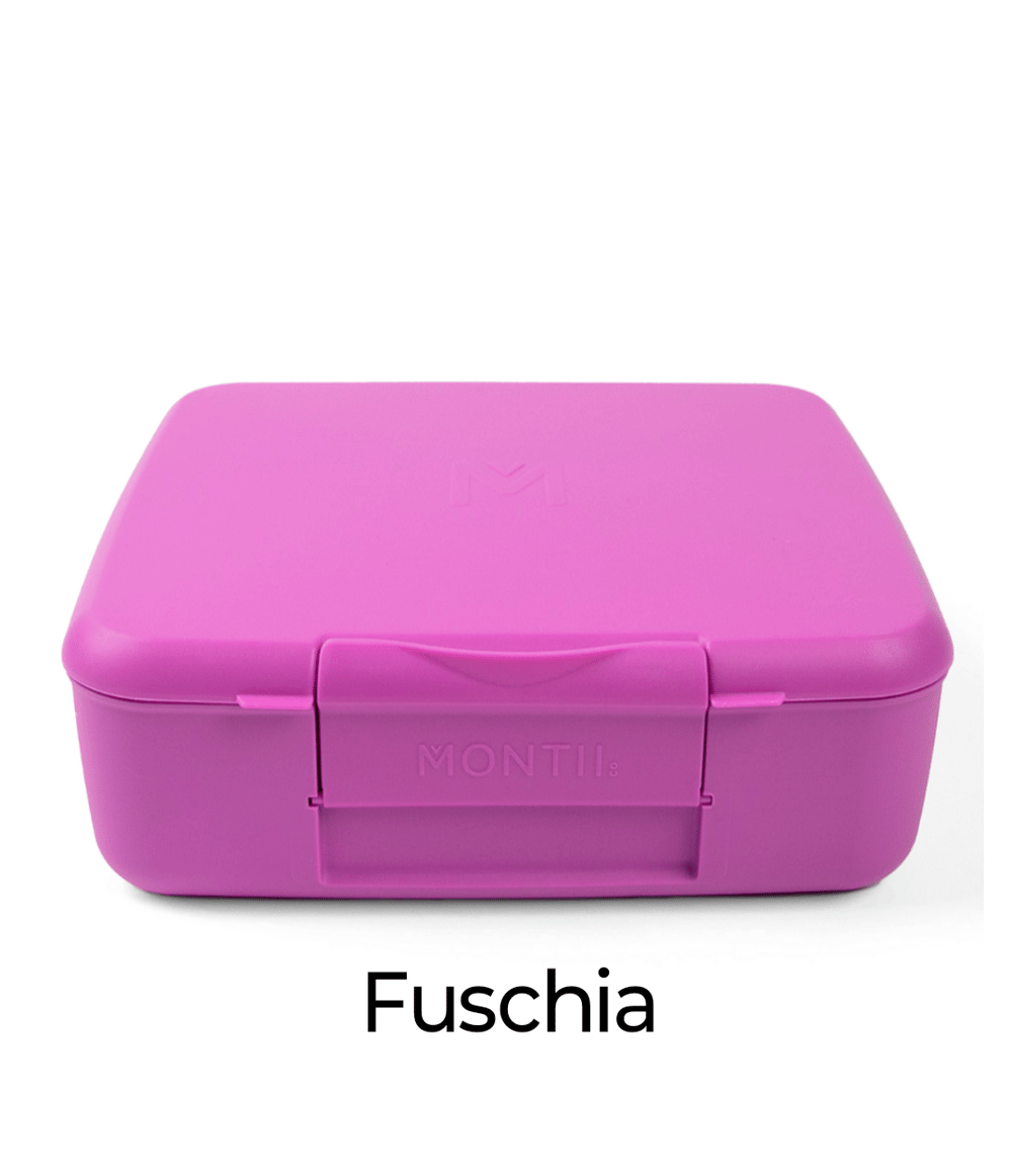 Montii Co Feast Lunchbox
