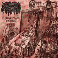 Mephitic Corpse "Sickness Attracts Sickness" 12"