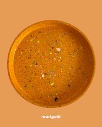 Image 3 of Plateaux MULTI COULEURS