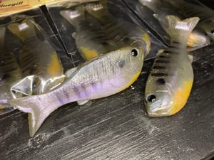 Image of Bob’s Bluegill 2PK (Spawning Gill)