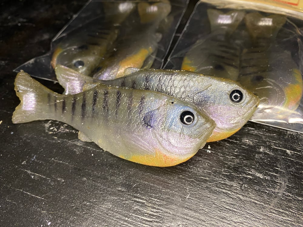 Image of Bob’s Bluegill 2PK (Spawning Gill)