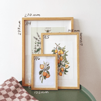 Image 3 of clementines & tiger moths