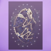 Forget-me-nots Print