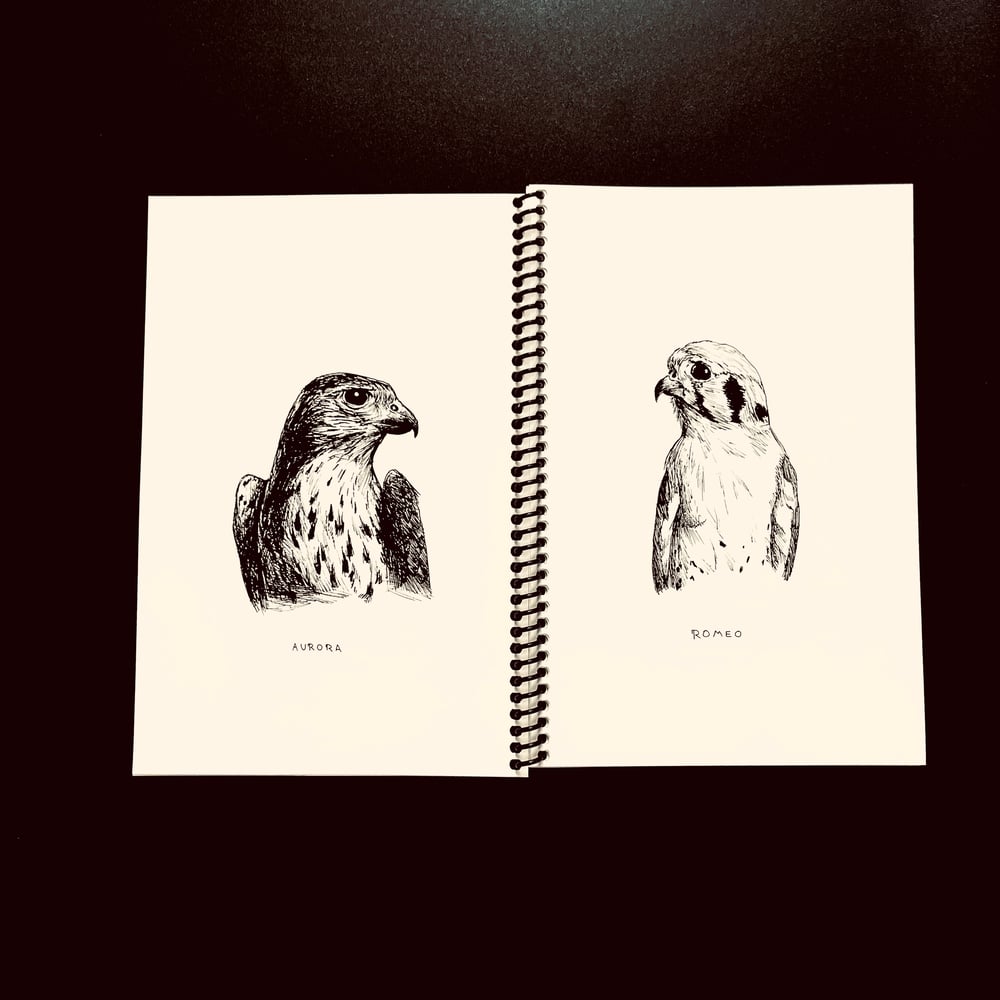 Leif Klausman - Birds of Prey (Booklet)