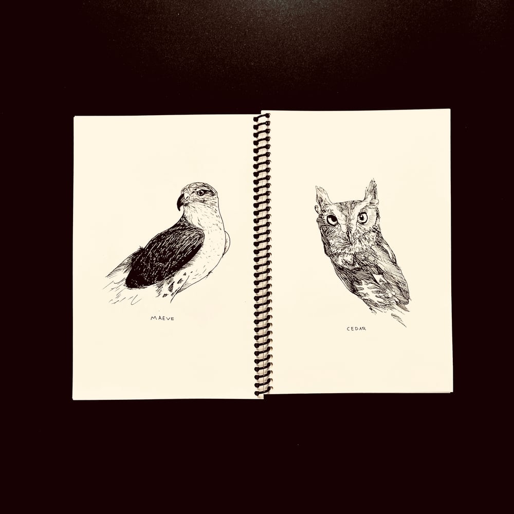 Leif Klausman - Birds of Prey (Booklet)