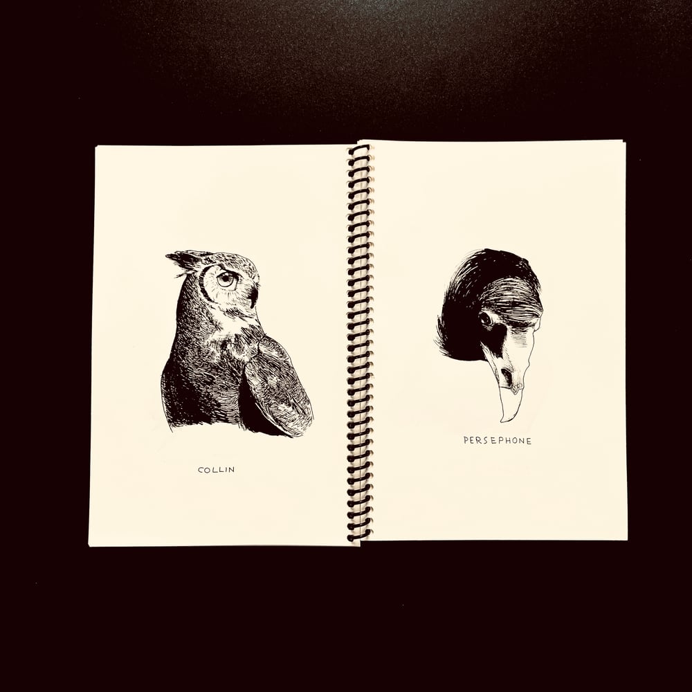 Leif Klausman - Birds of Prey (Booklet)