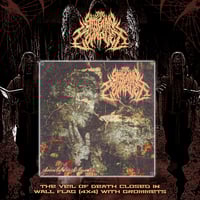 ‘The Veil of Death Closed In’ Wall Flag