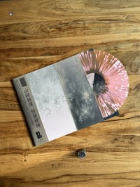 Image 2 of WV059 Mong Tong (TW) - Orientations 向位 LP