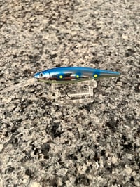 Blue shad 7