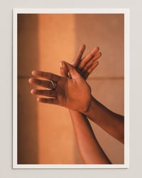 Image 2 of Bird — Chandrika's Hands, Pushkar, India (2023)