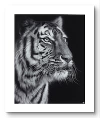 Image 1 of Giclee print “Poise before the pounce” 2025