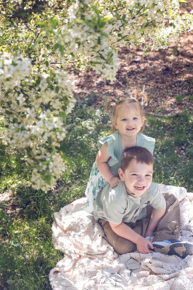 Image of Peony Farm Minis