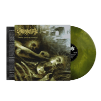 Image 1 of Vaticinal Rites - "Cascading Memories Of Immortality" 12" vinyl LP