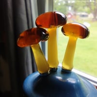 Image 2 of Tiny magnetic brown mushrooms 