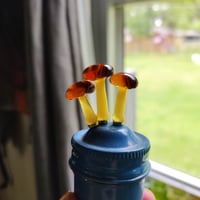 Image 1 of Tiny magnetic brown mushrooms 