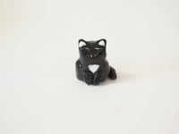 Image 1 of Patient Kitty 