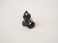 Image 2 of Patient Kitty 