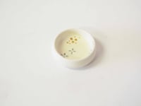 Image 2 of Celestial Dish 