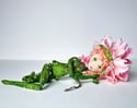 Flower Fae ~ Pink Peony