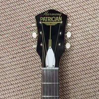 Image 3 of 60s Harmony Patrician Archtop Hollowbody