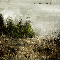 Image 2 of Thaw and Bloom Mini Series (6" x 6")