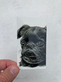 Image 6 of Variety Sticker Pack