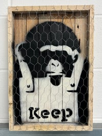 Caged chimp /5