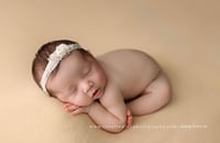Image 1 of Chloe thick knit beanbag backdrop in Butterscotch