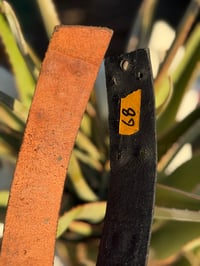 Image 9 of Original SIGNED Tom Fugle  Beretta Leather Belt