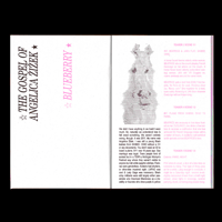 Image 3 of A SERIES OF ATTEMPTS #3: ☆LOVING WOMEN★☆LE PONEY★ by Jordan/_ Hell