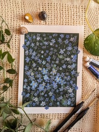 Image 1 of Forget-me-nots Gouache Print