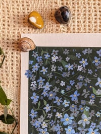 Image 3 of Forget-me-nots Gouache Print