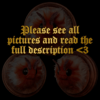 Image 2 of Cecropia Moth Wall Mount • OOAK