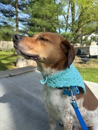 Image 4 of Dog Bandanna- Natural