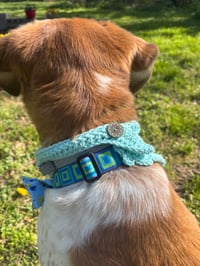 Image 6 of Dog Bandanna- Aqua