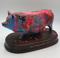 Image 1 of Mr Hogwash 1/1