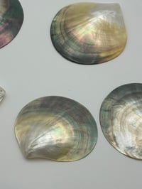 Image 5 of Mother of Pearl Shell Necklace