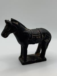 Image 2 of Luckiest horse in the Universe 