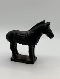 Image 1 of Luckiest horse in the Universe 